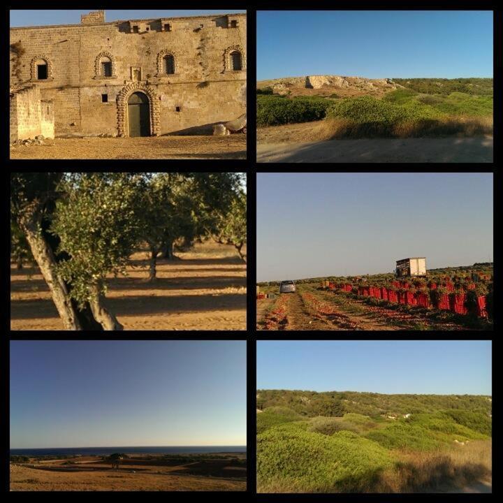 Salento - Casa vacanza di Diana Carcagni Nardò Esterno foto